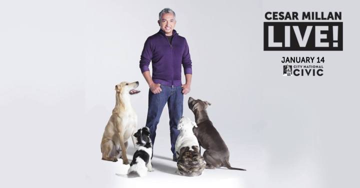 cesar-millan