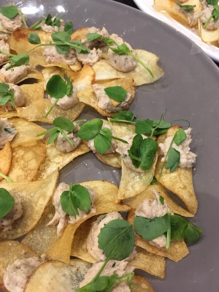 16939698_10211570220629478_8930166131924825918_n