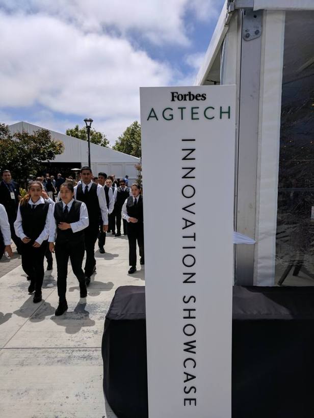 19510588_10155544502234602_6527806237644642085_n