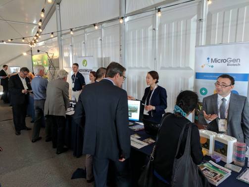 19511615_10155544501989602_5542804956388754687_n