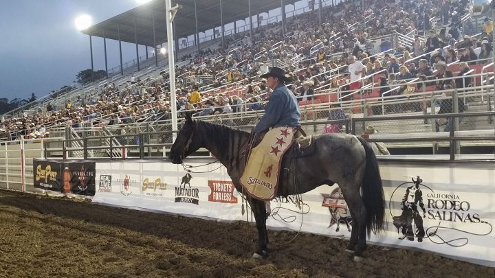 21125434_10154603791881036_3169849032147322516_o