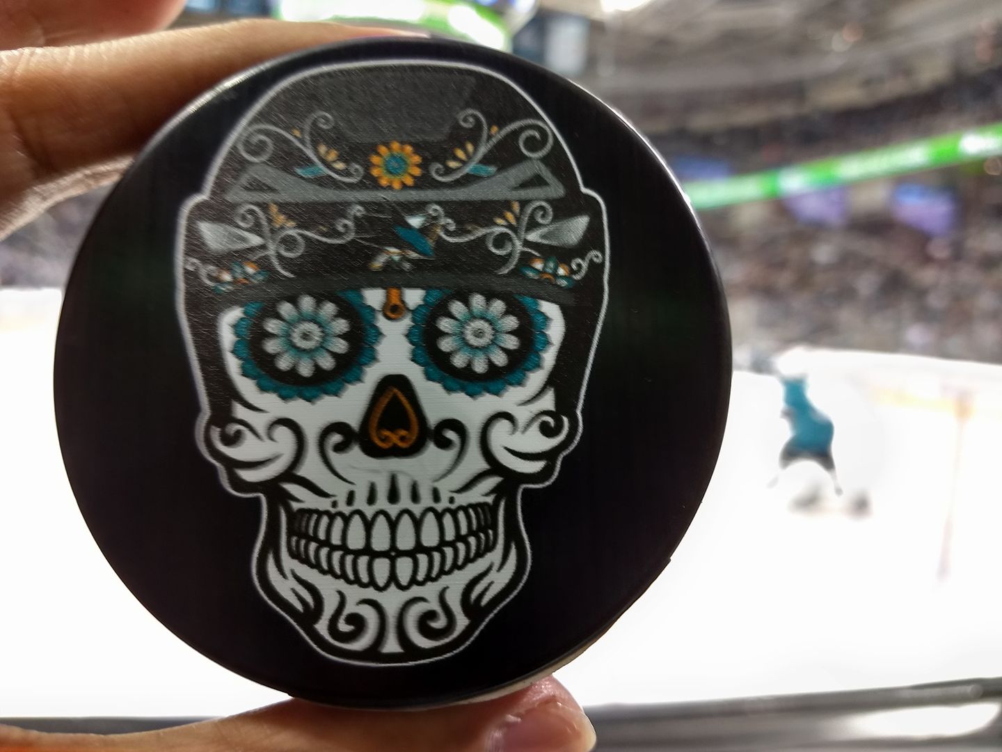 22426596_10154717577336036_8802216875268907071_o