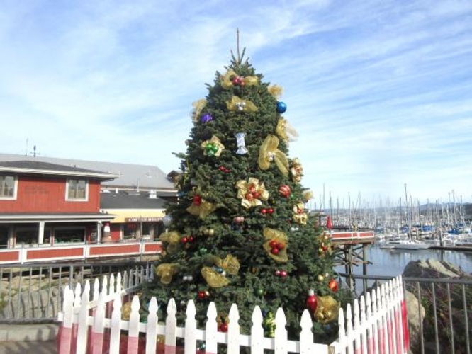 535fbb366e372a3f6deaa46a9b1952dc