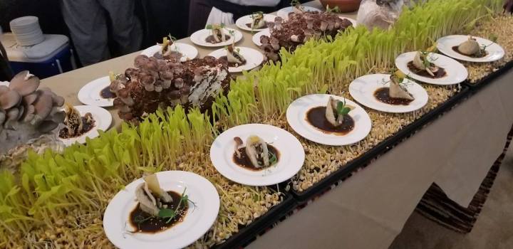 29871558_1663907210322153_817426019009239418_o