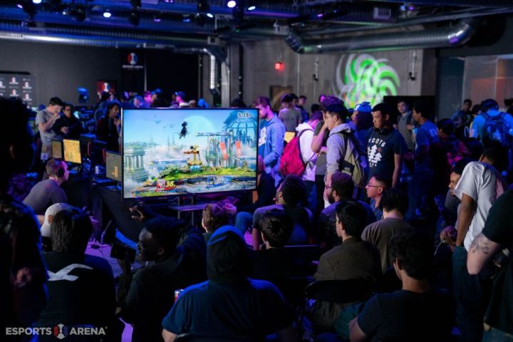 ESA Oak GO DSC05096_preview