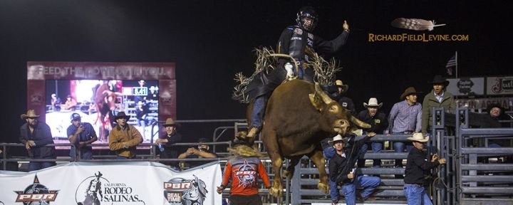 website_header_photo_by_rfl