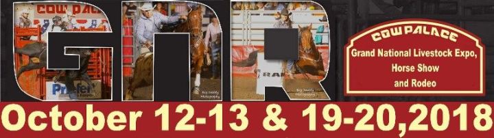 gnr-2017-banner-800x235