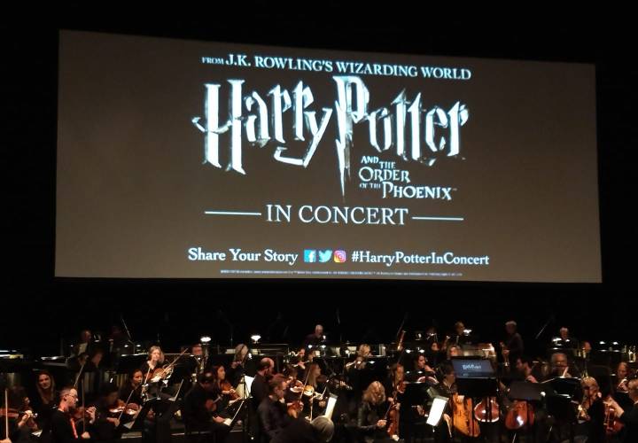 45355501_10155571712436036_2772614999766466560_o