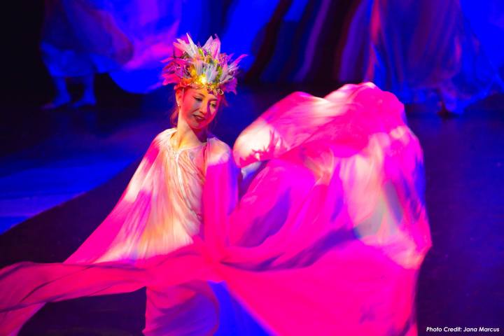 46479591_10156701946609318_6223149965405847552_o