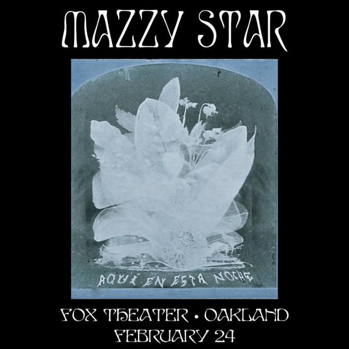 50480788_10156027153148027_7323854769456414720_n