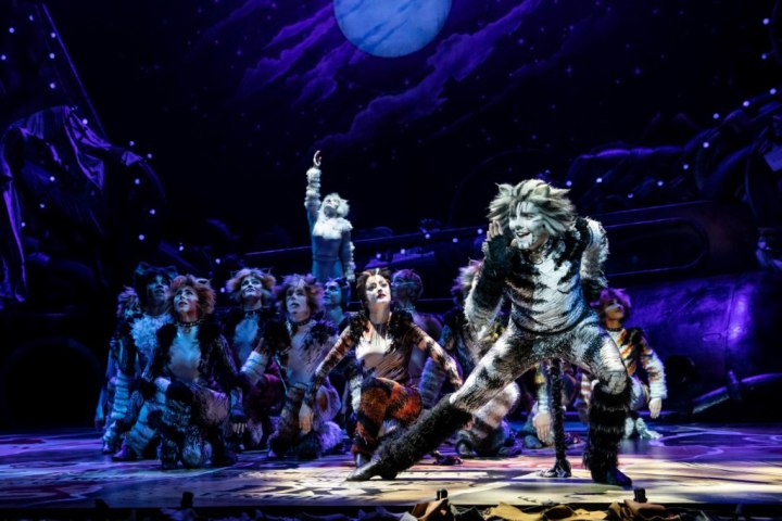 Dan Hoy as 'Munkustrap' and the North American Tour of CATS. Photo by Matthew Murphy.2019