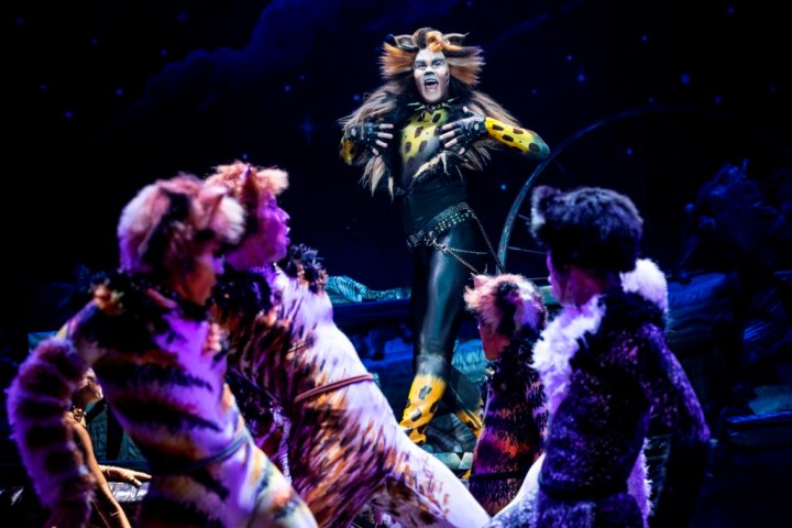 McGee Maddox as 'Rum Tug Tugger' and the North American Tour Company of CATS. Photo by Matthew Murphy. 2019