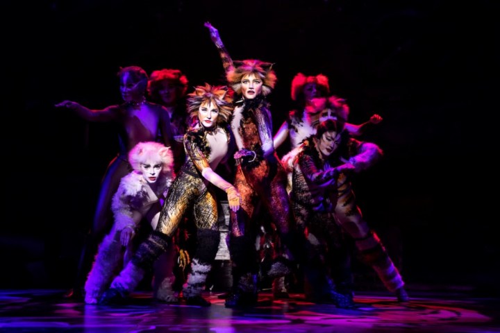 The North American Tour Company of CATS. Photo by Matthew Murphy. 2019 (1)