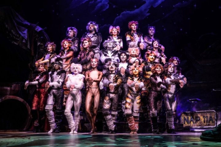The North American Tour Company of CATS. Photo by Matthew Murphy. 2019