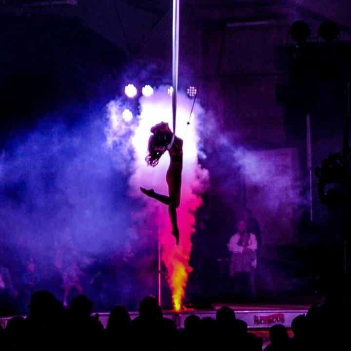 53360246_2117691624985013_9060729253217173504_n