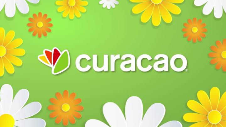 54523288_2421833661182951_5067306951029817344_o