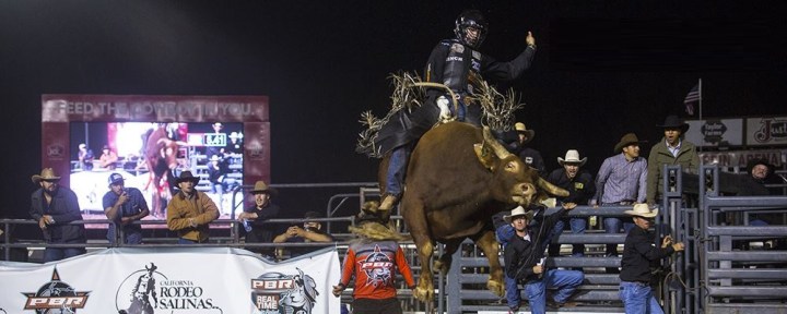 website_header_photo_by_rfl