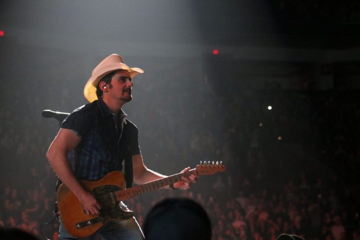 20180405203345_IMG_7204-187t47s-1024x683 (1).jpg