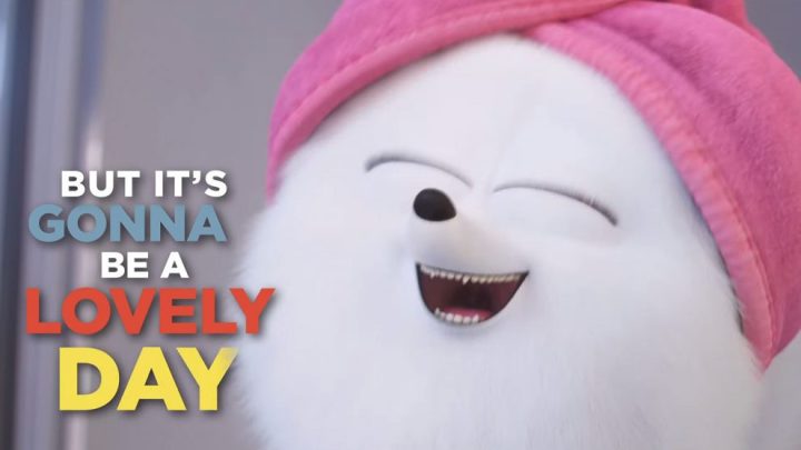 lovely-day-ozuna-secret-life-990x557