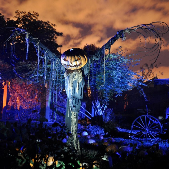 70831198_2960300903985299_6091123589849808896_n