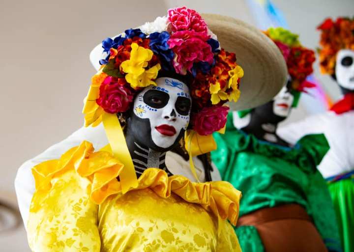 75604024_10157223556993292_2682960933306761216_n