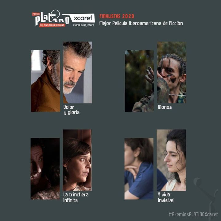 89863518_1342092975991787_5556477372124889088_o